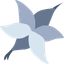 Audy Vee Logo